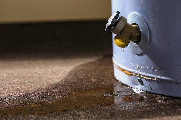 Carpet water damage restoration in Monroe, MI