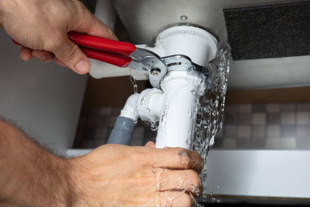 Best Water damage mitigation services  in Monroe, MI