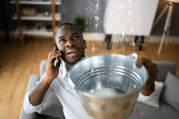 Best Basement water damage restoration  in Monroe, MI