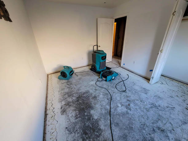 Best Emergency water extraction  in Monroe, MI