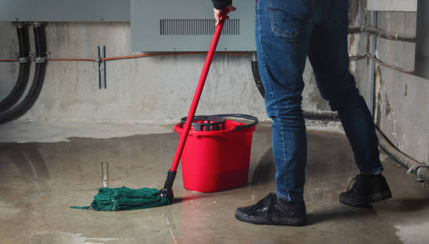 Best Water damage cleanup near me  in Monroe, MI