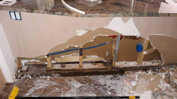 Best Water damage restoration near me  in Monroe, MI