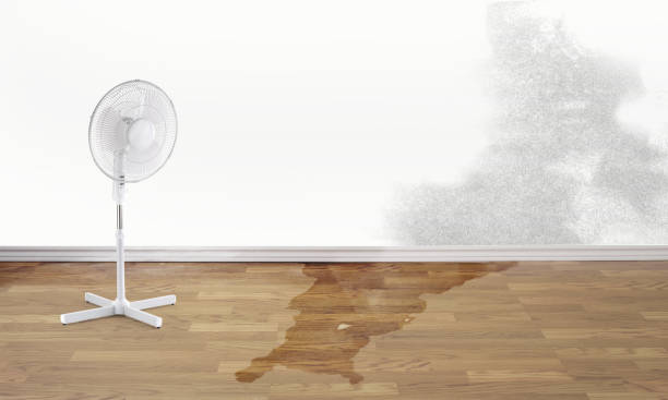 Reliable Monroe, MI Water damage restoration Solutions
