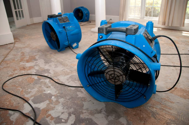 Best 24/7 water damage repair  in Monroe, MI