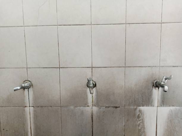 Best Fire Damage Restoration  in Monroe, MI