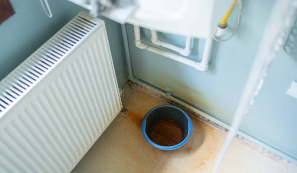 Water damage restoration mold remediation in Monroe, MI