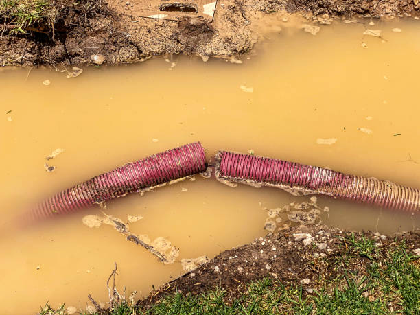 Monroe, MI Water damage restoration Company