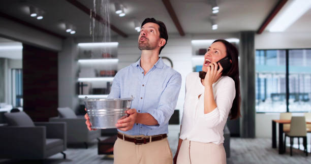 Local water damage restoration in Monroe, MI
